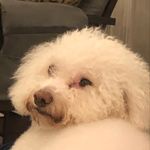 Jack Renfroe - @renfroe_jack - Instagram