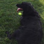Jack Rhoades - @they_call_me_dawg - Instagram