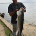 Jack Rhoads - Facebook