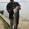 jackrhoads8 - @jackrhoads8 - TikTok