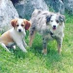 Jack Ricks - @tigerboyjack - Instagram