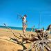 Jack Rinehart - Facebook