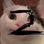 Jack ring - @jackring31 - Instagram