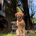 Jack Ringer - Facebook