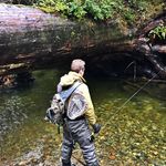 Jack_Ritter - @kibblesandrittz - Instagram