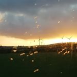 Jack Robison - @photos12345780 - Instagram