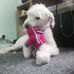 Jack Roche - Facebook