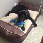 @jack_ruff - Instagram