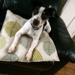 Jack Rumble - @rumble7908 - Instagram