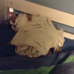 Jack Rushton - @rushton6609 - Instagram