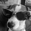 jack 🐶 - @jack..russo - TikTok