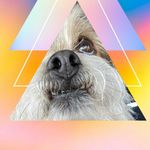 Jack Russo - @_jack_russo_ - Instagram