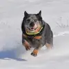 Jack Rutkowski - @jack.rutkowski24 - TikTok