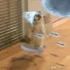 Jack Rutkowski - @jack_rutkowski - TikTok