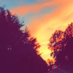 @jackson_ryerson17 - Instagram