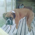 Jack Stratton - @jacksaboy_ - Instagram