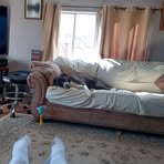 Jack Sage - Facebook