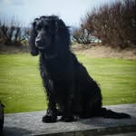 Jack Salter - @jacksalterr2 - Instagram