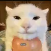 jacksalter - @jacksalter10 - TikTok
