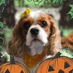 Jack Sander - Facebook