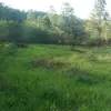 jacksandler15 - @jacksandler15 - TikTok