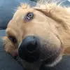 Jack sans eau - @jacobb.jacksanseaublanch - TikTok
