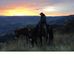 Jack Sauer - Facebook