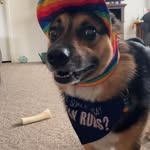 Jack Sauer - @jazzyjack08 - Instagram