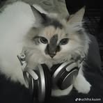 Chip Juck - Facebook
