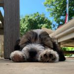 @jack___schippers - Instagram