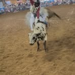 Jacob Schlabach - Facebook