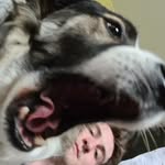 Jack Scholes - @jackisapotato - Instagram