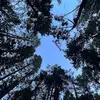 jacksonschramm - @jacksonschramm - TikTok
