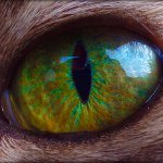 Jack Scialabba - @jack_scialabba - Instagram