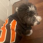 Jacksonscialabba - @jackson_scialabba - Instagram
