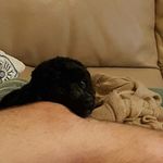 Jack-black scobell - @jackblackscobell - Instagram