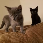 Jack & Serafina's Adventures - @jackserafina - Instagram