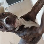 Jack Serna Yepez - @jacksernayepez - Instagram