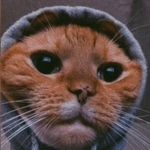 $hR3k 1s ć0oł - @jack.seward - Instagram