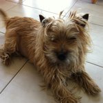 Jack Seward - @xperios - Instagram