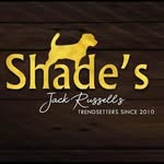 Shade's Jack Russells🐾 - @shades_jackrussells - Instagram