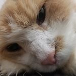 Jack Shaheen - @jackshaheen31 - Instagram