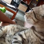 jack shalom Fernandez vallejos - @jacks.halom - Instagram