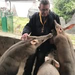 Jack Shamash - @jackshamash - Instagram