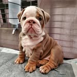 Jack_Shandeston - @jack_shandeston - Instagram