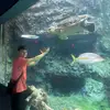 jack.shand._ - @jack.shand._ - TikTok