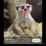 Jack Shankley - @jackshankley - Instagram