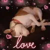 jackieshankle873 - @jackieshankle873 - TikTok