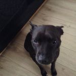 Jack Shankss - @jackshankss - Instagram