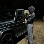 Jack Sharpe - @jack.sharpe - Instagram